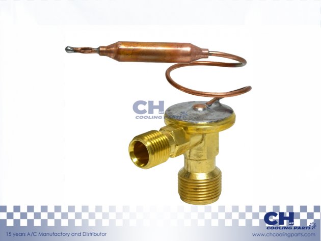 CH-EX37061