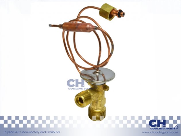 CH-EX37074