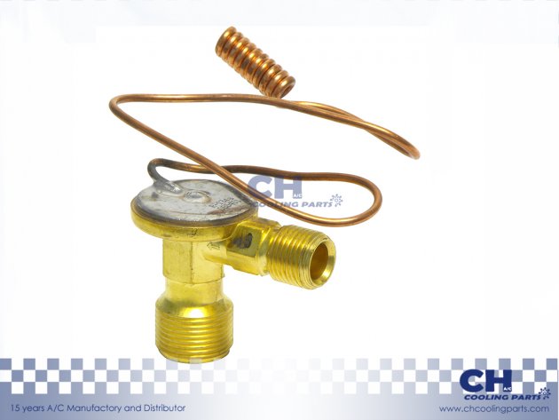 CH-EX37109
