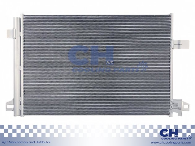 CH-6113