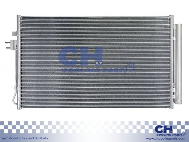 CH-6438