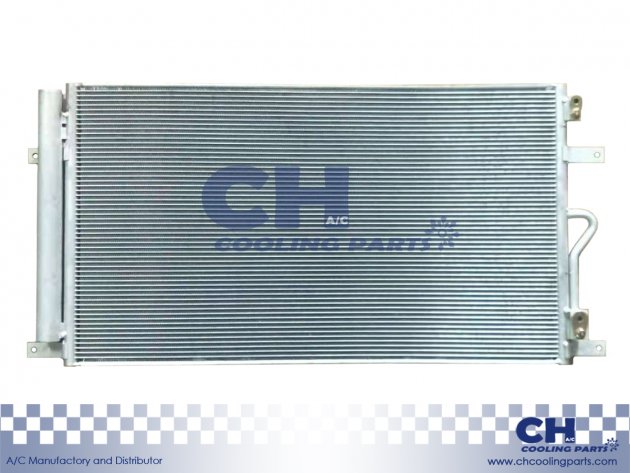 CH-6533