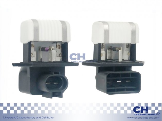 CH-8313