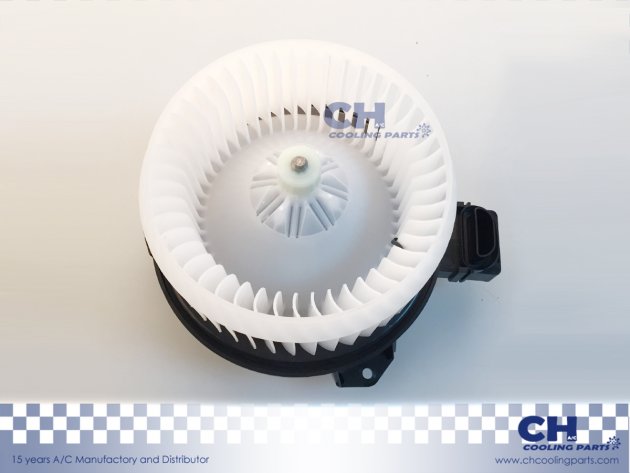 CH-B4524