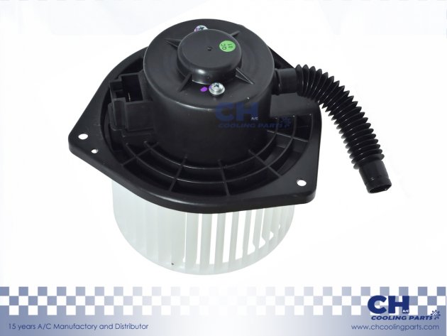 CH-B4866