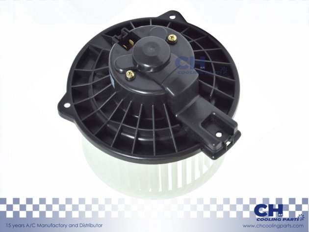 CH-B4882 / CH-B4938