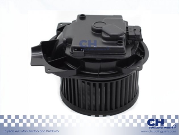 CH-B4950
