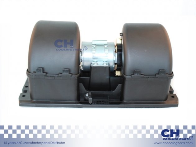 CH-B5031