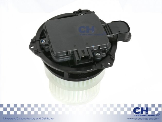 CH-B5296