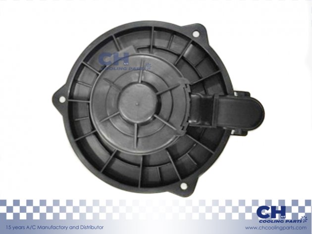 CH-B5558