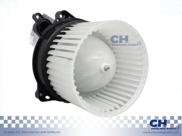 CH-B5595