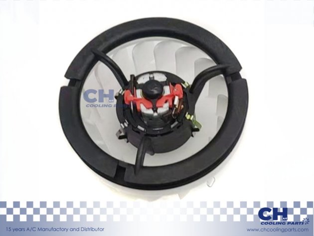 CH-B5621