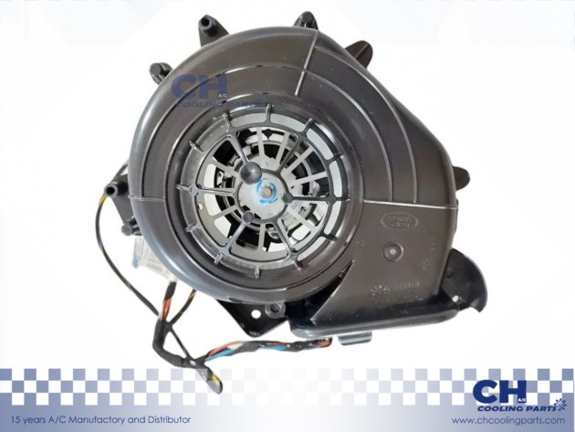 CH-B6006