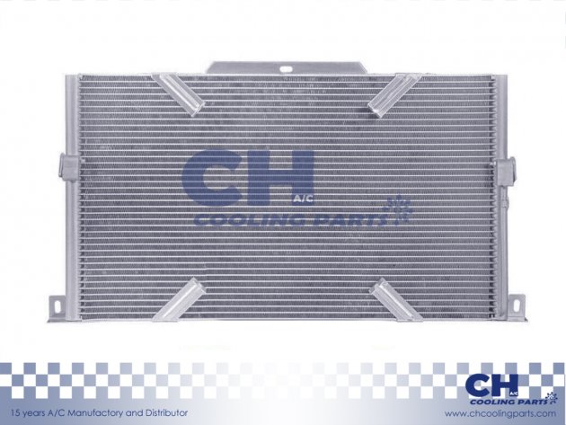 CH-6496