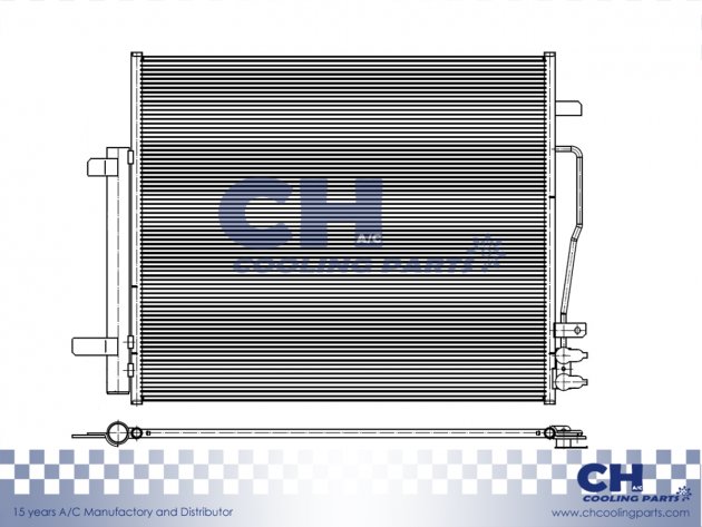 CH-6513
