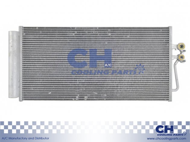 CH-6866