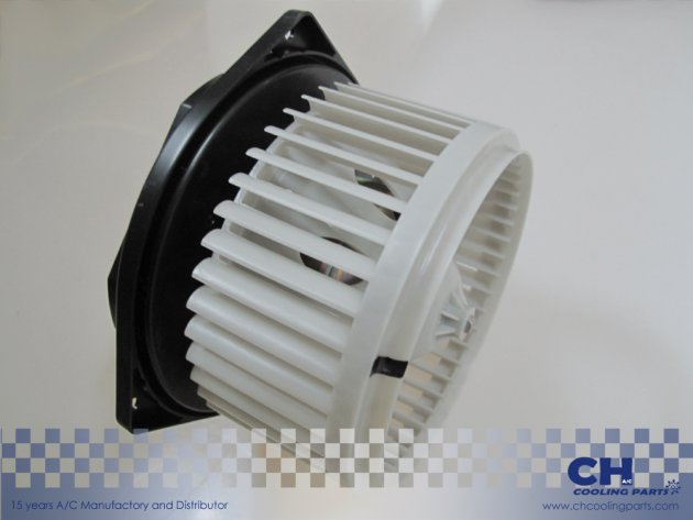 CH-B4563