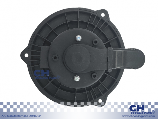 CH-B4811