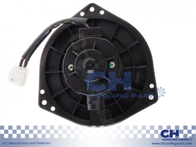 CH-B5019