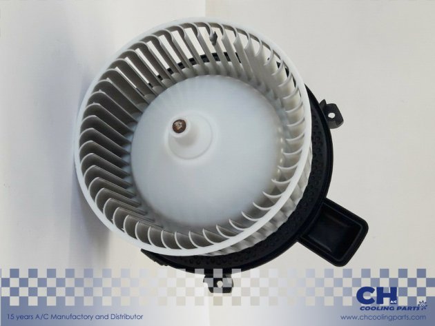 CH-B5062