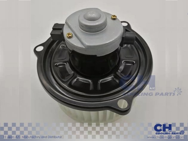CH-B5216