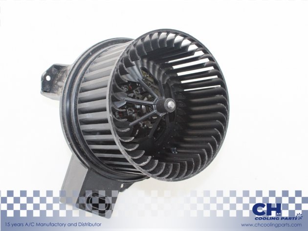 CH-B5389