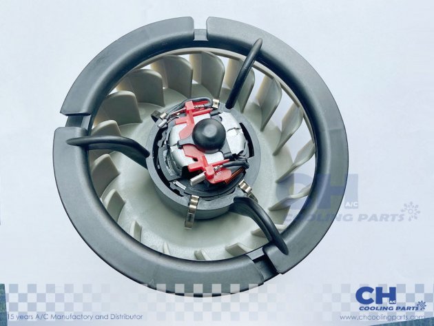 CH-B5620