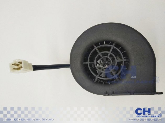 CH-B5843