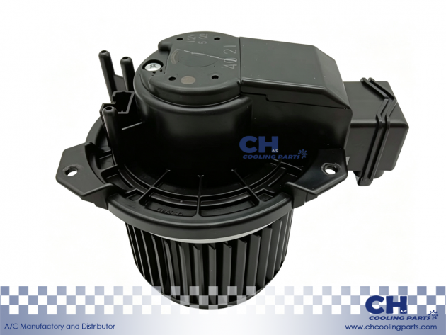 CH-B6019