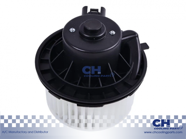 CH-B6153
