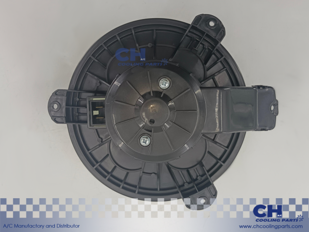 CH-B6156