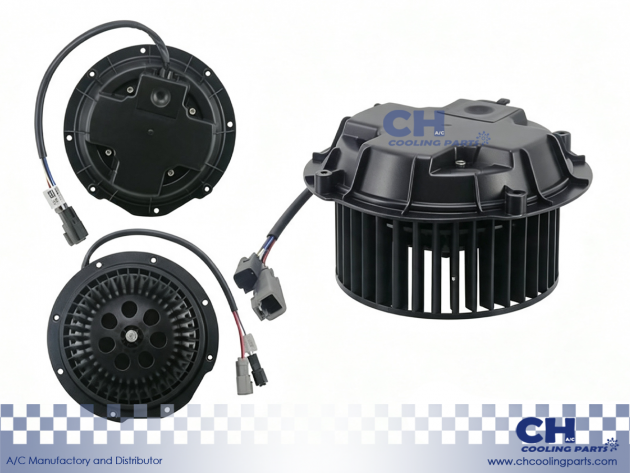 CH-B6172