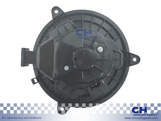 CH-B6175