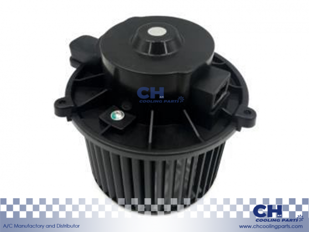CH-B6182