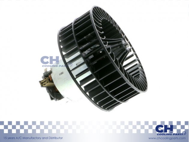 CH-D4007