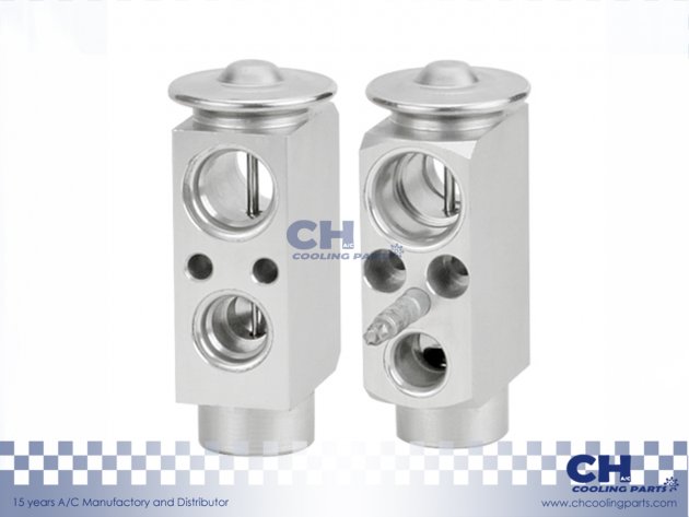 CH-EX37029