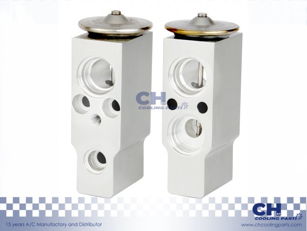 CH-EX37078