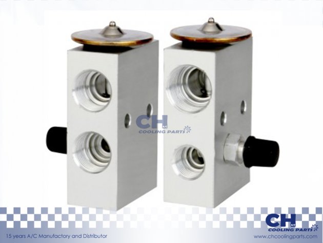 CH-EX37194