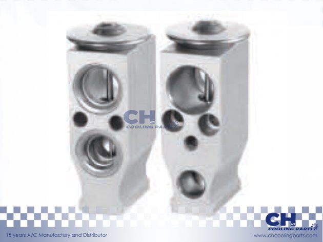 CH-EX37237