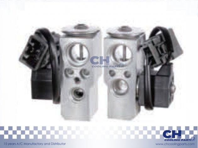 CH-EX37247