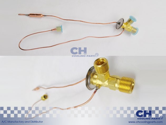 CH-EX57275