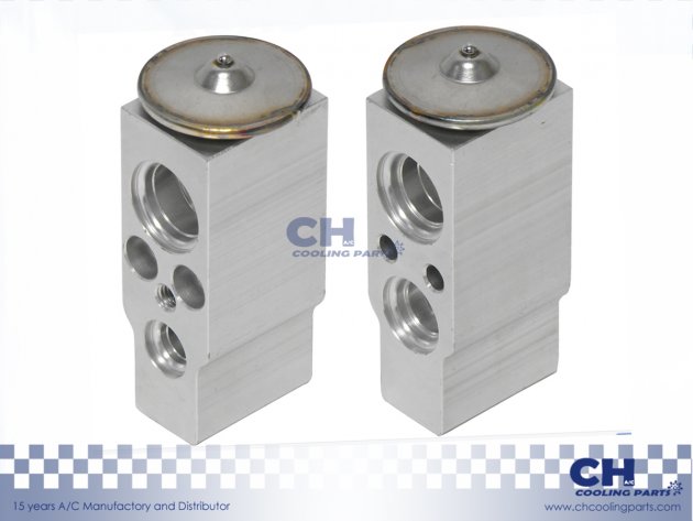 CH-EX57310