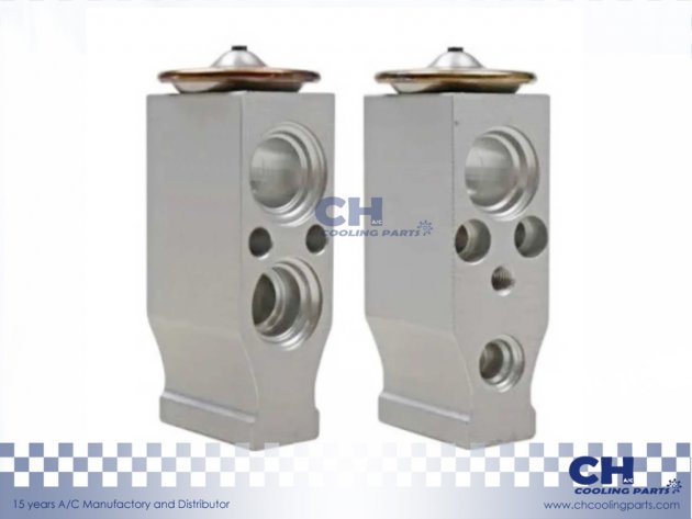 CH-EX57539