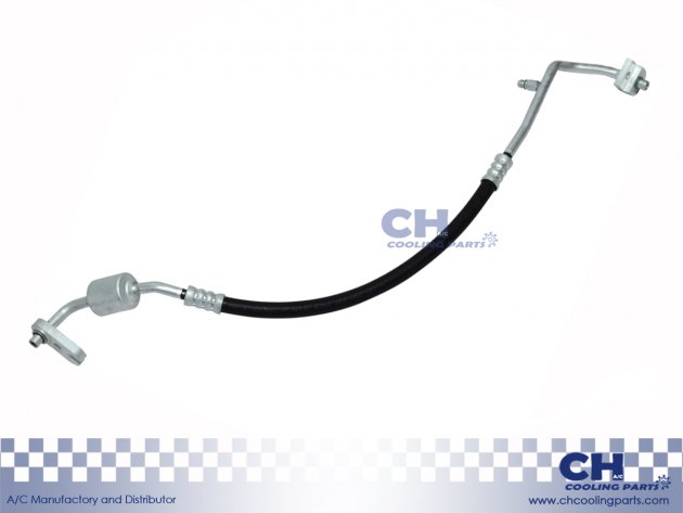 CH-HA6093