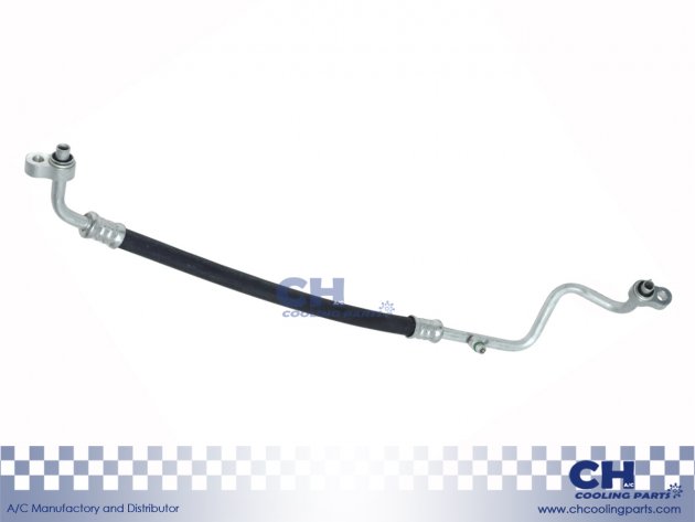 CH-HA6099