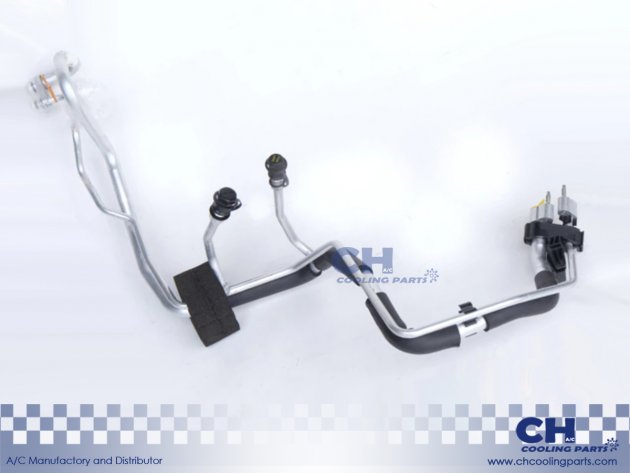 CH-HA6543